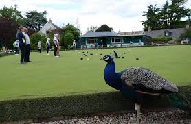 Image result for Nairn Bowling Club