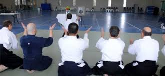 Image result for Moslin & Dewandre Aiki Dojo