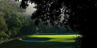 Image result for Brokenhurst Manor Golf Club