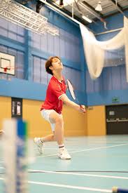 Image result for Experian Badminton Club