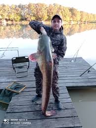 Image result for рыбалка