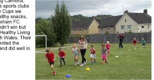 Image result for Plaskynaston Bowling Club