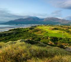 Image result for The Combe Martin Institute Club