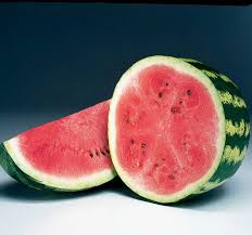 Attēlu rezultāti vaicājumam “Citrullus lanatus”