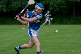 Image result for hurling