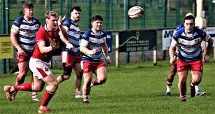 Image result for Milford Haven R F C