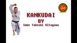 Image result for Nottingham Sankukai Karate