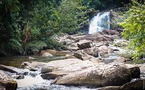 Image result for синхараджа