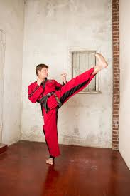 Image result for Masters of Martial Arts