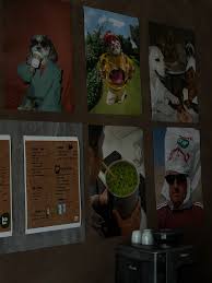 Risultati immagini per pedolesbo