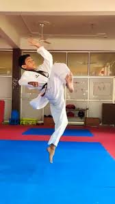 Image result for Utf Jaguar Tkd