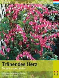 Image result for tränendes Herz