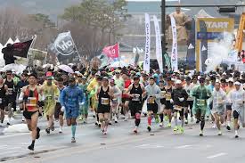 Image result for Harwich Runners