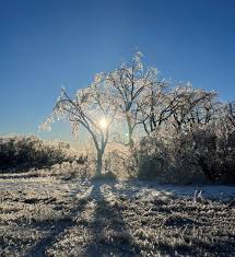 Image result for ice storm