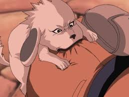 「犬塚キバ」の画像検索結果