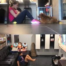 Image result for Reigate Badminton Club