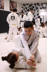 Image result for Derwent Valley Ju-Jitsu Academy