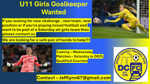 Image result for Didcot Ladies Casuals Football