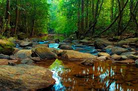 Image result for синхараджа