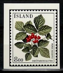 Attēlu rezultāti vaicājumam “Rubus saxatilis flower”