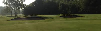 Image result for Dorking Golf Club