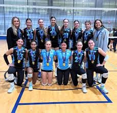 Image result for Halton Netball Club