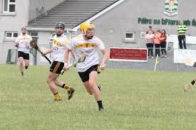 Image result for Rostrevor Hurling Club