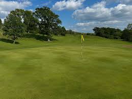 Image result for Bellingham Golf Club