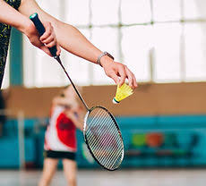 Image result for Dragons Junior Badminton Club