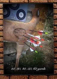 Image result for Lionheart Company Of Bowmen