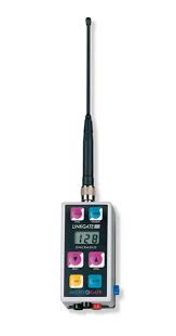 Image result for Sfânta Waltrude