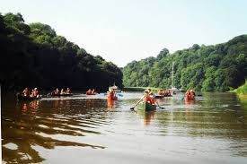 Image result for Tamar Canoe Association