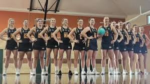 Image result for Capricorn Netball Club