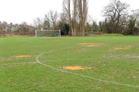 Image result for Eltham Town Football Club Ltd