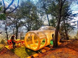 Картинки по запросу Altamira