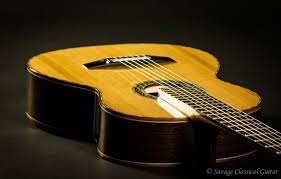 Image result for selvatici tehron