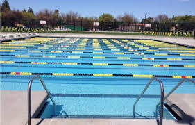 Image result for Stockton Swimming Club