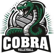 Image result for Cheltenham Cobras Volleyball Club