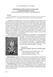 Attēlu rezultāti vaicājumam “Chimabachidae”