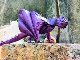 Image result for TRIANGLE CHANGQUAN FLYING DRAGON