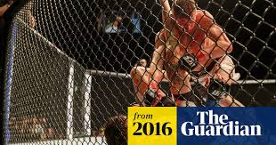 Image result for Blood Sweat and Tears Mixed Martial Arts Academy