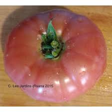 Afbeeldingsresultaat voor marizol purple tomato