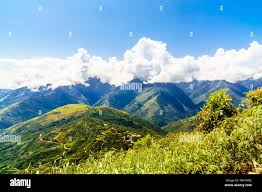 Výsledek obrázku pro yungas