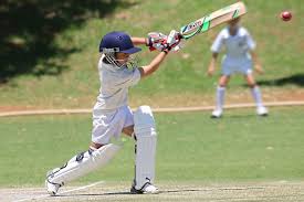 Image result for Hook Norton Junior Cricket Club