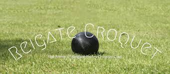 Image result for Reigate Priory Croquet Club