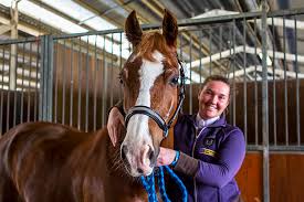 Image result for Interfreestyle Sport Karate