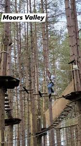 Image result for Go Ape! Moors Valley