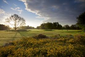 Image result for Alwoodley Golf Club