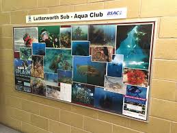 Image result for Lutterworth Sub-Aqua Club