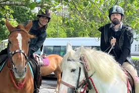 Image result for Scottish Equi Complex